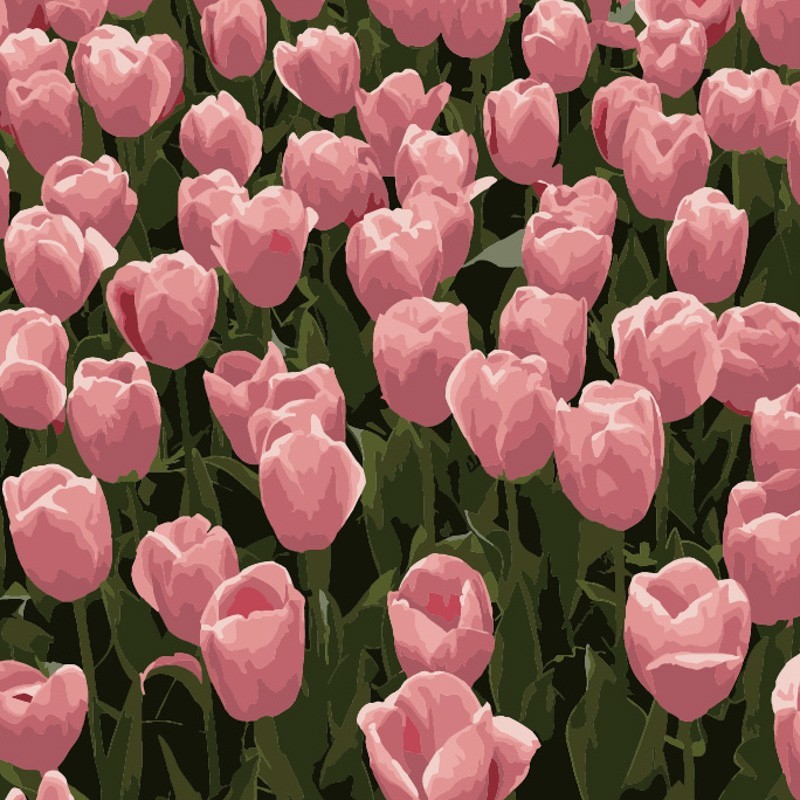 Картина по номерам Розовые тюльпаны (20х20 см), бренду Strateg - KUBIX