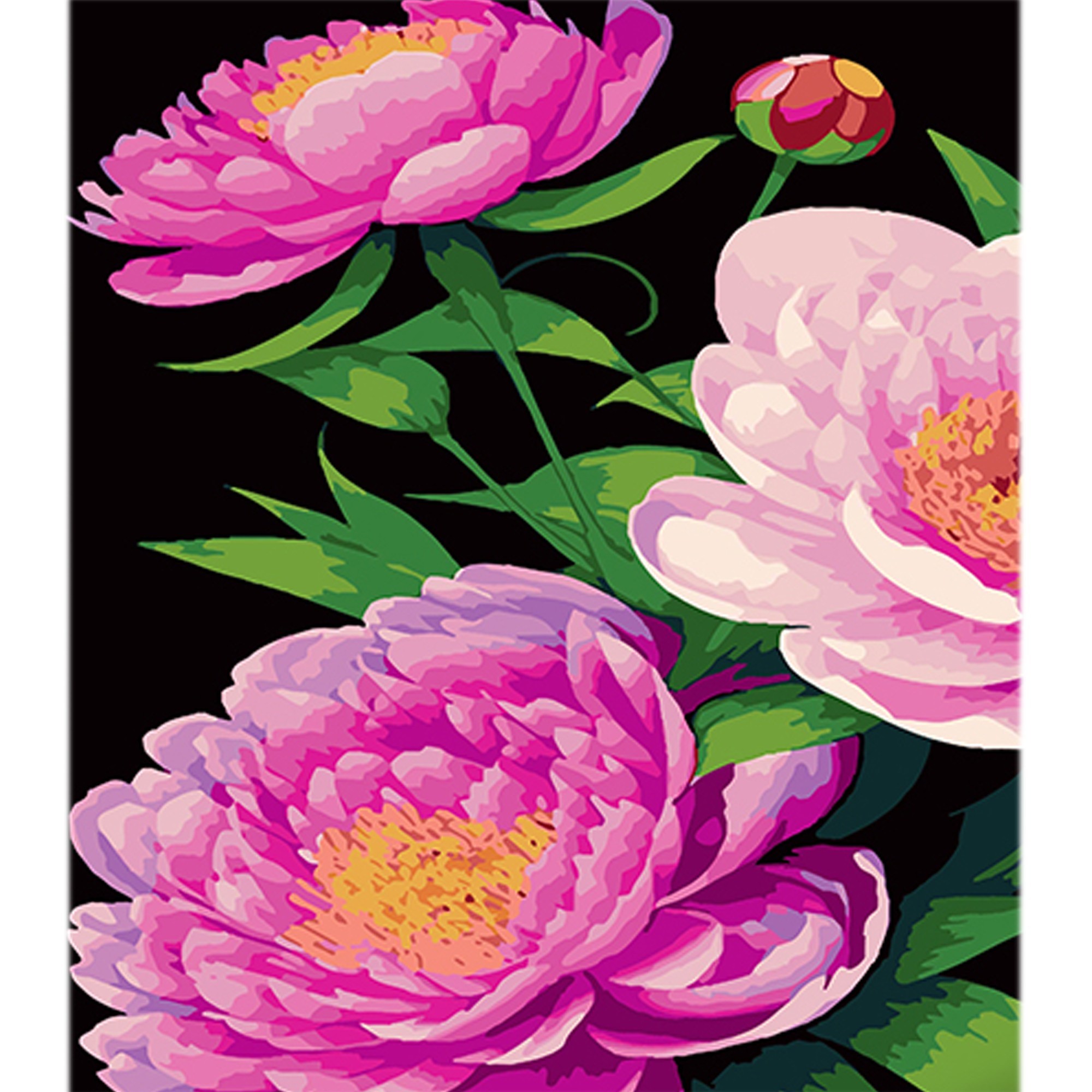 Картина по номерам Пионы в оттенках розового (40х50 см), бренду Strateg - KUBIX