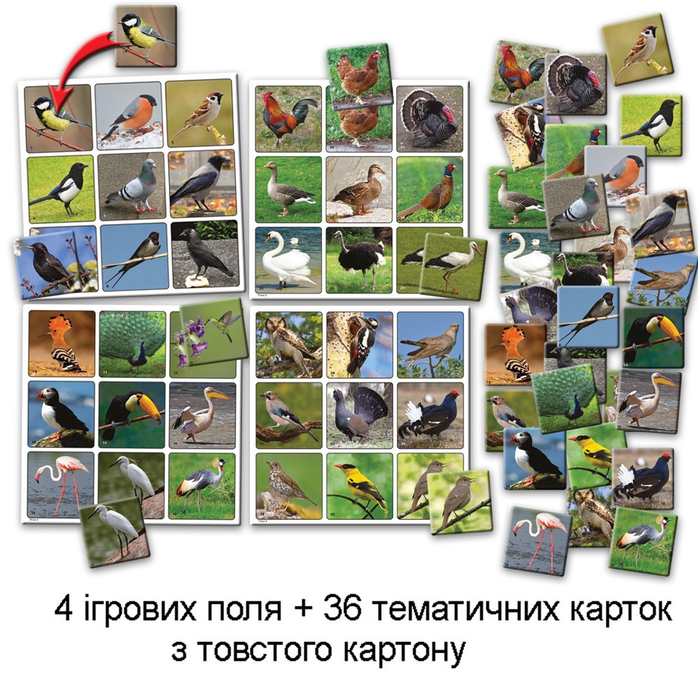 Настільна гра Супер Лото. Птахи, бренду Київська фабрика іграшок, для 1-4 гравців - 3 - KUBIX 