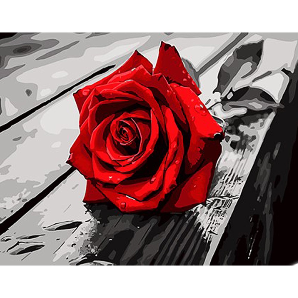 Картина за номерами Червона троянда (30х40 см), бренду Strateg - KUBIX