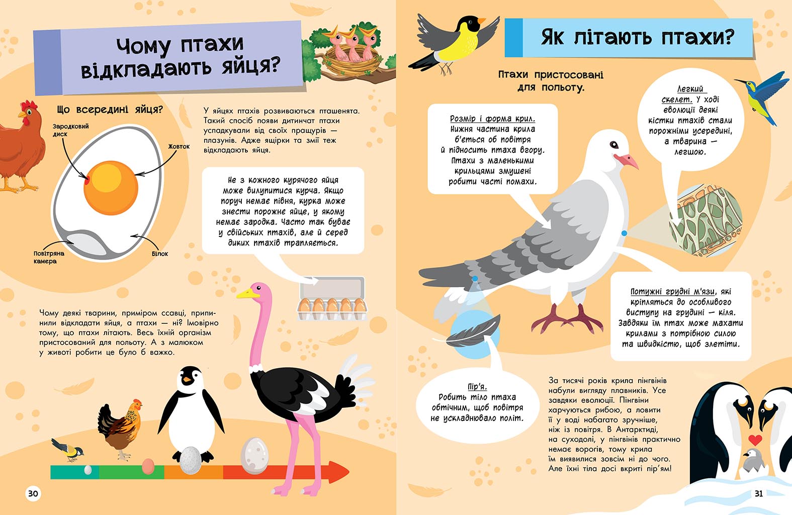 Велика енциклопедія для чомусика, бренду Ранок - 5 - KUBIX 