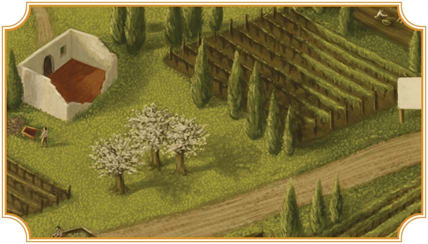 Настольная игра Виноделие. Тоскана (Viticulture Tuscany), бренду Kilogames, для 1-6 гравців, час гри < 60мин. - 8 - KUBIX 