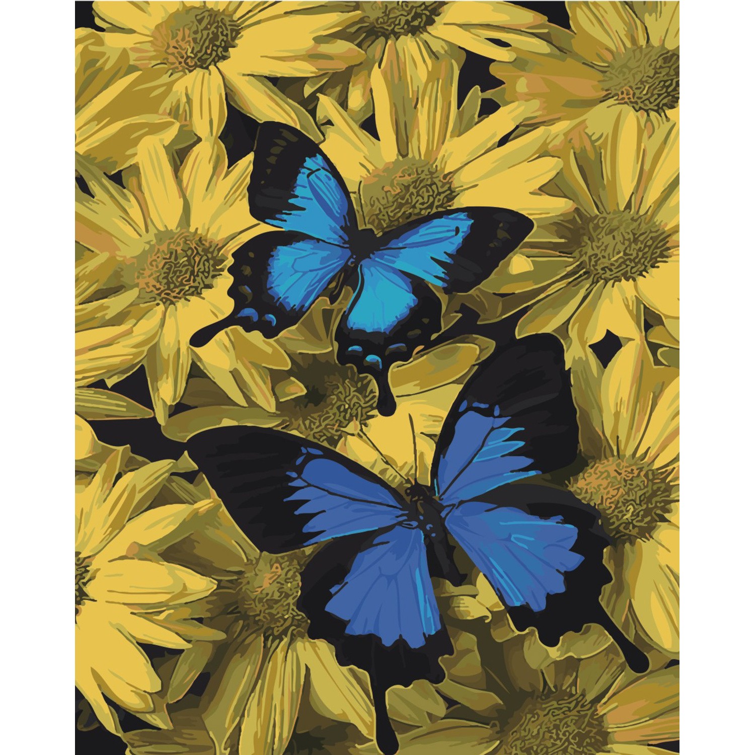 Картина по номерам Пара бабочек (40х50 см), бренду Strateg - KUBIX