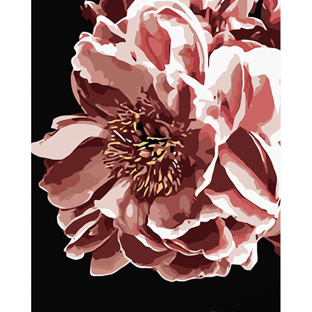 Картина по номерам Ночной цветок (40х50 см), бренду Strateg - KUBIX