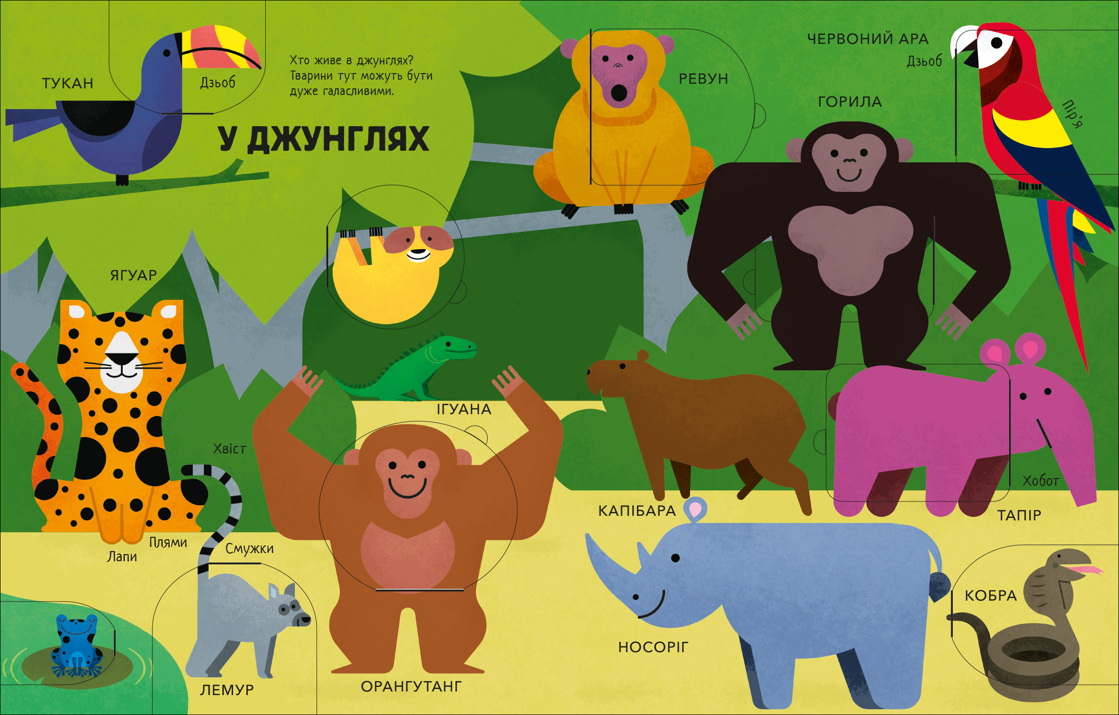 Моя перша книга з віконцями, бренду Ранок - 7 - KUBIX 