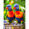 Картина по номерам Яркие попугаи (30х40 см)