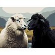 Миниатюра товара Картина по номерам Пара овец (30х40 см) - 1