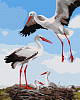 Картина по номерам Семья аистов (40х50 см)