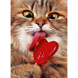 Алмазна мозаїка Котик з льодяником (50х65 см)