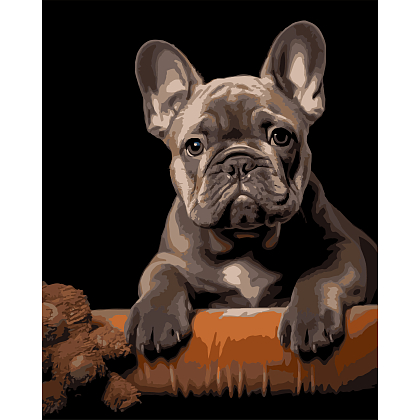 Картина по номерам Французский бульдог (40х50 см), бренду Strateg - KUBIX