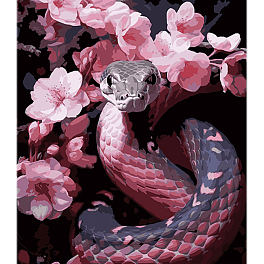 Картина по номерам Змея и розовые оттенки (40х50 см)