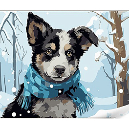 Картина за номерами Собака в шарфі (30х40 см)