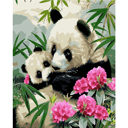Картина по номерам Панды в бамбуковом лесу (40х50 см), бренду Strateg - KUBIX