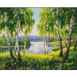 Алмазная мозаика Березки у озера (30х40 см)