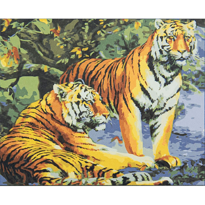 Картина за номерами Пара тигрів (40х50 см), бренду Strateg - KUBIX