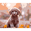 Картина за номерами Осінній песик (40х50 см)
