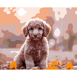 Картина за номерами Осінній песик (40х50 см)