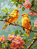 Картина по номерам - Весенние канарейки (30х40 см)