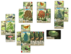 Мініатюра товару Настільна гра Лісова метушня (Forest Shuffle) - 3