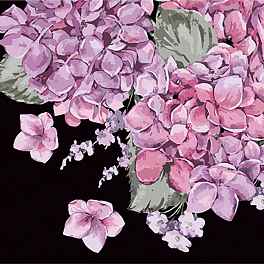 Картина за номерами Цвітіння гортензій (40х40 см)
