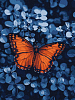 Картина по номерам Помаранчевий метелик (30х40 см)