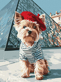 Картина по номерам Йорк у Франції (30х40 см)