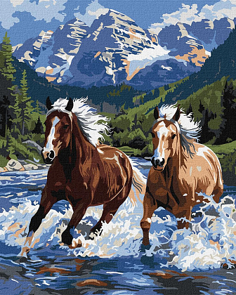 Картина по номерам Сила в движении (40х50 см), бренду Идейка - KUBIX