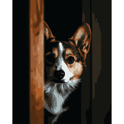 Картина за номерами Коргі (40х50 см), бренду Strateg - KUBIX