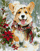 Картина по номерам Щасливий коргі (40х50 см)