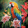 Алмазная мозаика Попугай в джунглях на бумажной основе (18х18 см)