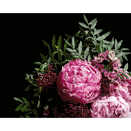 Картина за номерами Букет рожевих півоній на чорному фоні (40х50 см) (AH1053), бренду Strateg - KUBIX