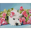 Алмазна мозаїка Собака в квітах (40х50 см)