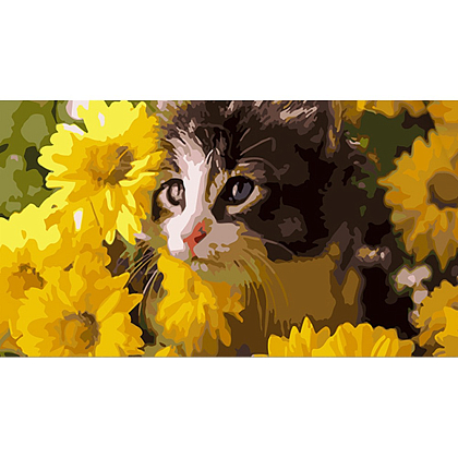 Картина по номерам Котик в цветах (50х25 см), бренду Strateg - KUBIX