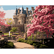 Мініатюра товару Картина за номерами Сад біля замку (40х50 см) - 1
