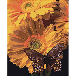 Картина по номерам Бабочка на подсолнечнике (40х50 см)