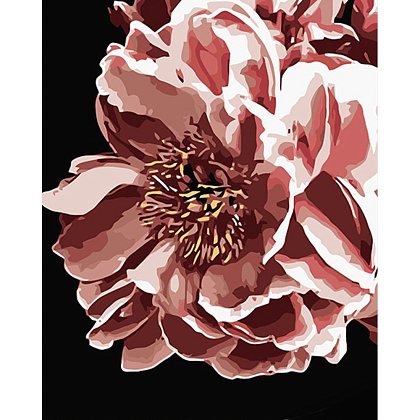 Картина за номерами Нічна квітка (40х50 см), бренду Strateg - KUBIX