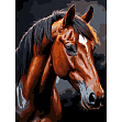 Мініатюра товару Картина за номерами Коричневий кінь (30х40 см) - 1