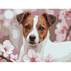 Картина за номерами Миловидний пес (30х40 см)