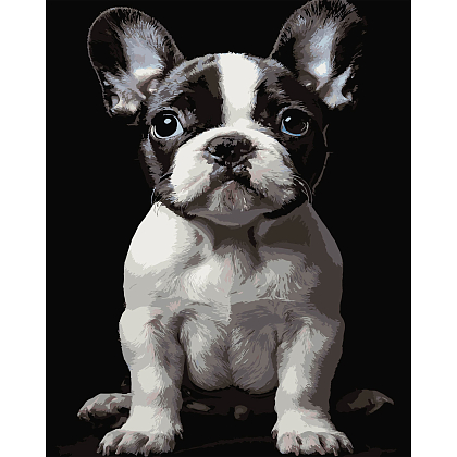 Картина по номерам Маленький пес (40х50 см), бренду Strateg - KUBIX