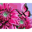 Миниатюра товара Картина по номерам Бабочка на ярких цветках (30х40 см) - 1