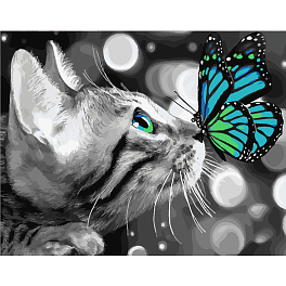 Картина за номерами Кошеня з метеликом (40х50 см)