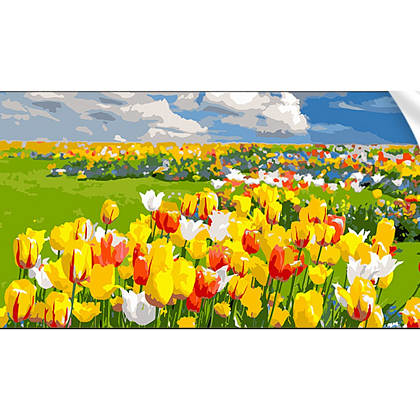 Картина за номерами Поле тюльпанів (50х25 см), бренду Strateg - KUBIX