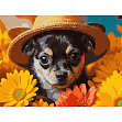 Миниатюра товара Картина по номерам Собака в соломенной шляпе (30х40 см) - 1