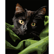 Миниатюра товара Картина по номерам Чёрный маленький котёнок (40х50 см) - 1