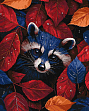Миниатюра товара Картина по номерам Осенний енот (40х50 см) - 1