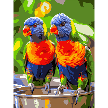 Картина за номерами Яскраві папуги (30х40 см), бренду Strateg - KUBIX
