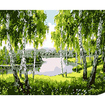 Картина по номерам Березовий рай (30х40 см)