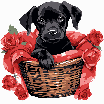 Картина по номерам Чёрный щенок с розами (20х20 см), бренду Strateg - KUBIX