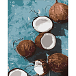 Миниатюра товара Картина по номерам Кокосовый рай (40х50 см) - 1
