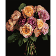 Миниатюра товара Картина по номерам Оранжевый букет (40х50 см) - 1